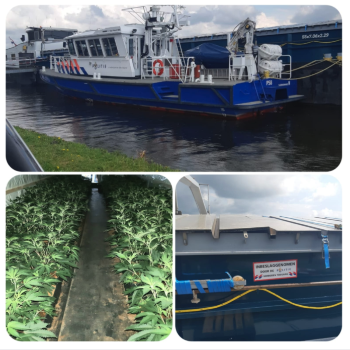 hennepkwekerij op schip