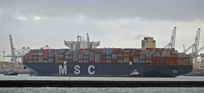 msc rifaya b MSC Rifaya in Rotterdam