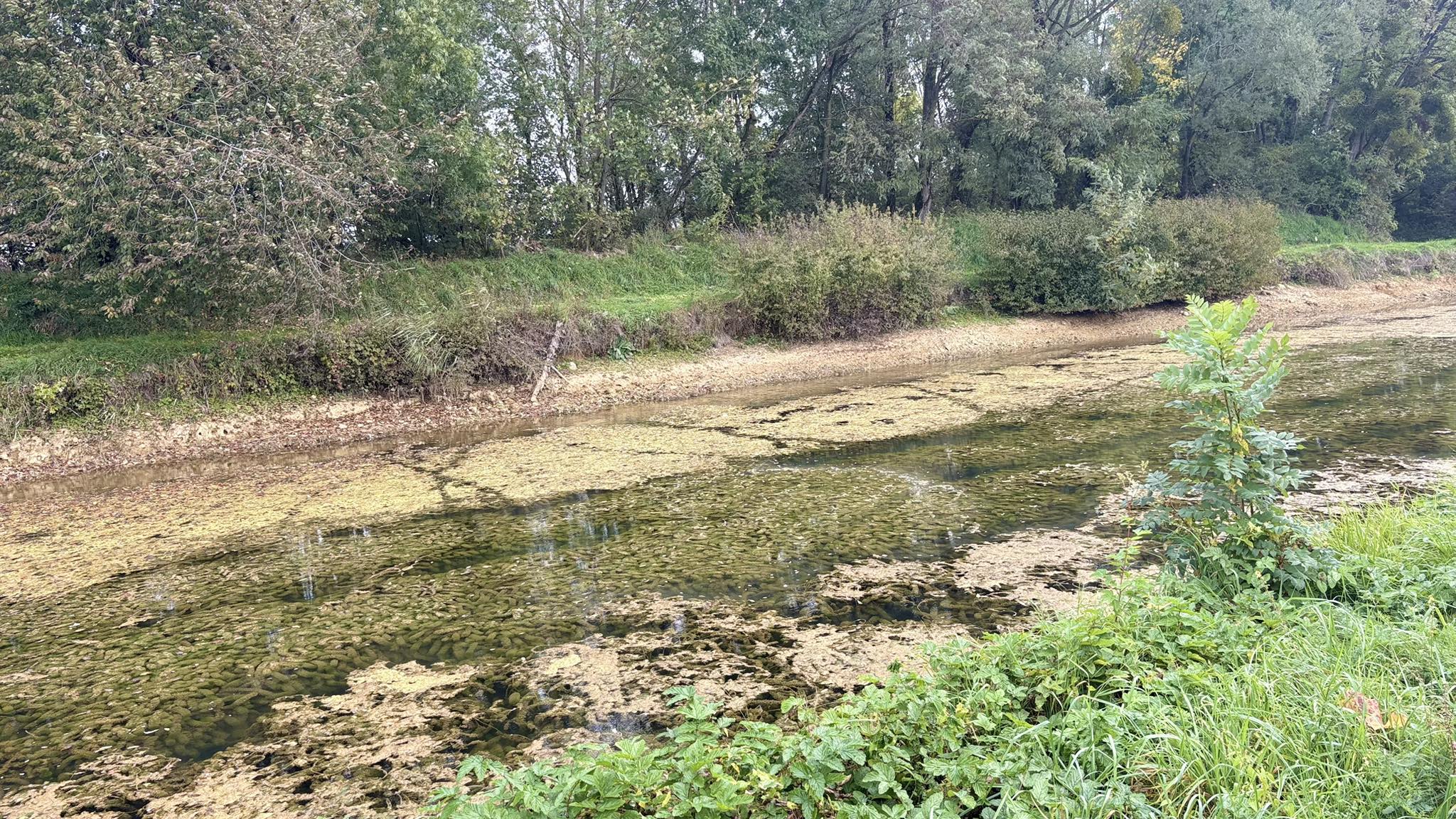 Mazzel is nog steeds niet bevrijd uit Franse kanalen